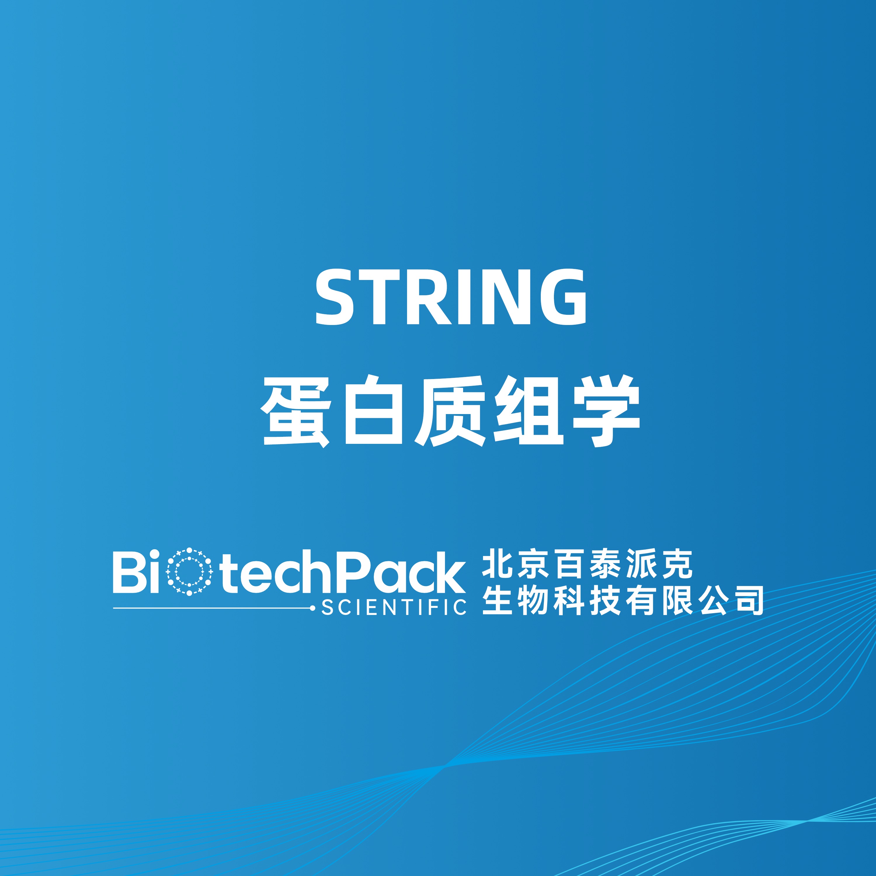 STRING 蛋白质组学