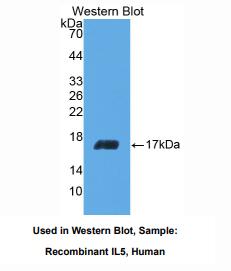 https://msimg.bioon.com/bionline/goods-no-pic.png