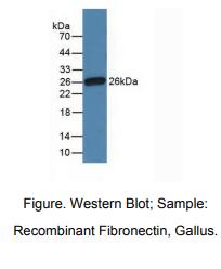 https://msimg.bioon.com/bionline/goods-no-pic.png