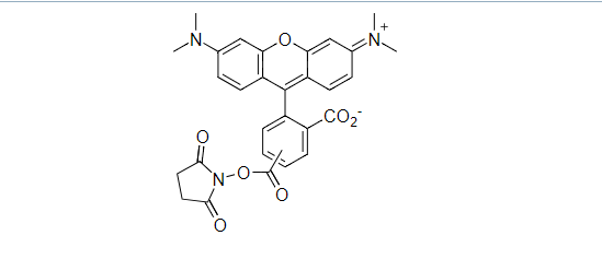5(6)-TAMRA, SE 5(6)-羧基四甲基罗丹明琥珀酰亚胺酯 CAS 246256-50-8