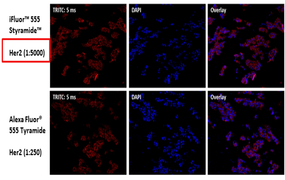 https://img.medsci.cn/e73eefcea40976357f460123cbf1e819c54e5106c9b457225be13b1cbc991aff.png