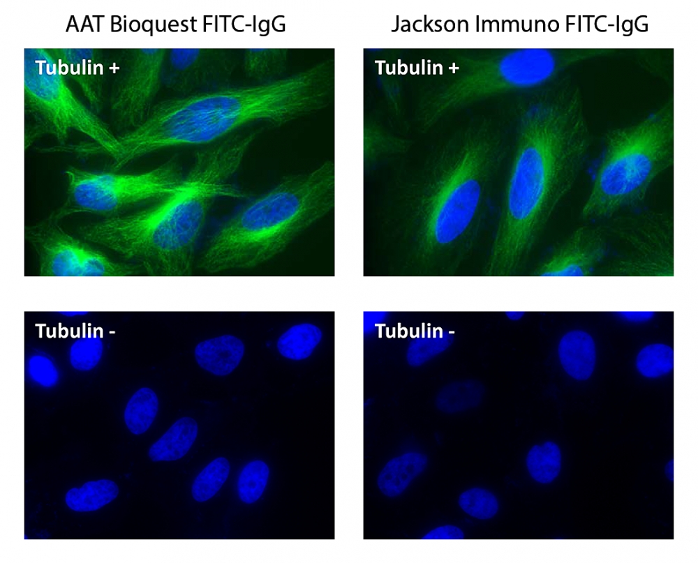 FITC羊抗鼠免疫球蛋白(H+L)*交叉亲和 降低干扰*