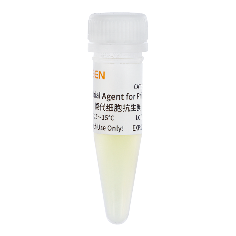 Antimicrobial agent for Organoids 類器官專用抗生素