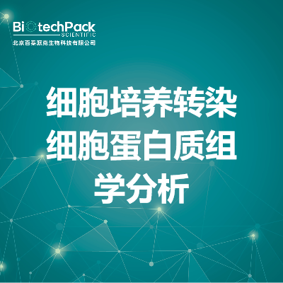 细胞培养转染细胞蛋白质组学分析