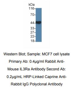 https://msimg.bioon.com/bionline/goods-no-pic.png