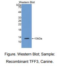 https://msimg.bioon.com/bionline/goods-no-pic.png