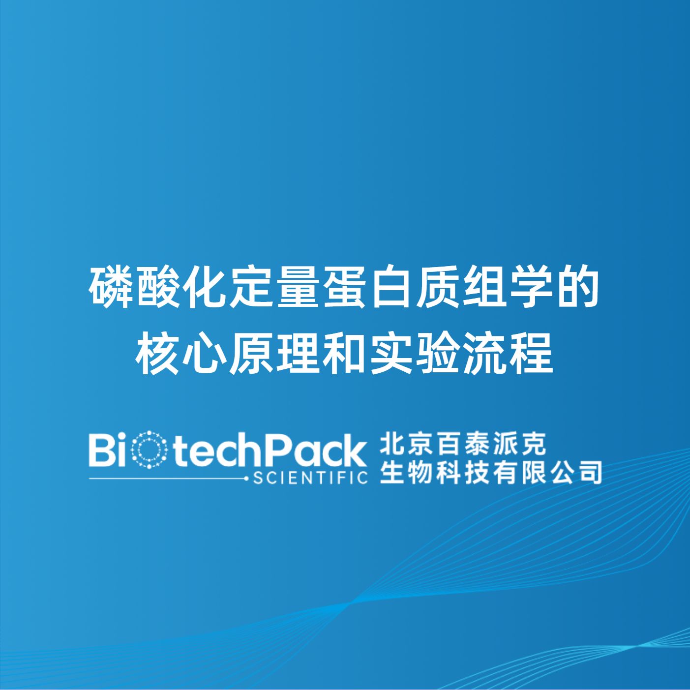 磷酸化定量蛋白质组学的核心原理和实验流程