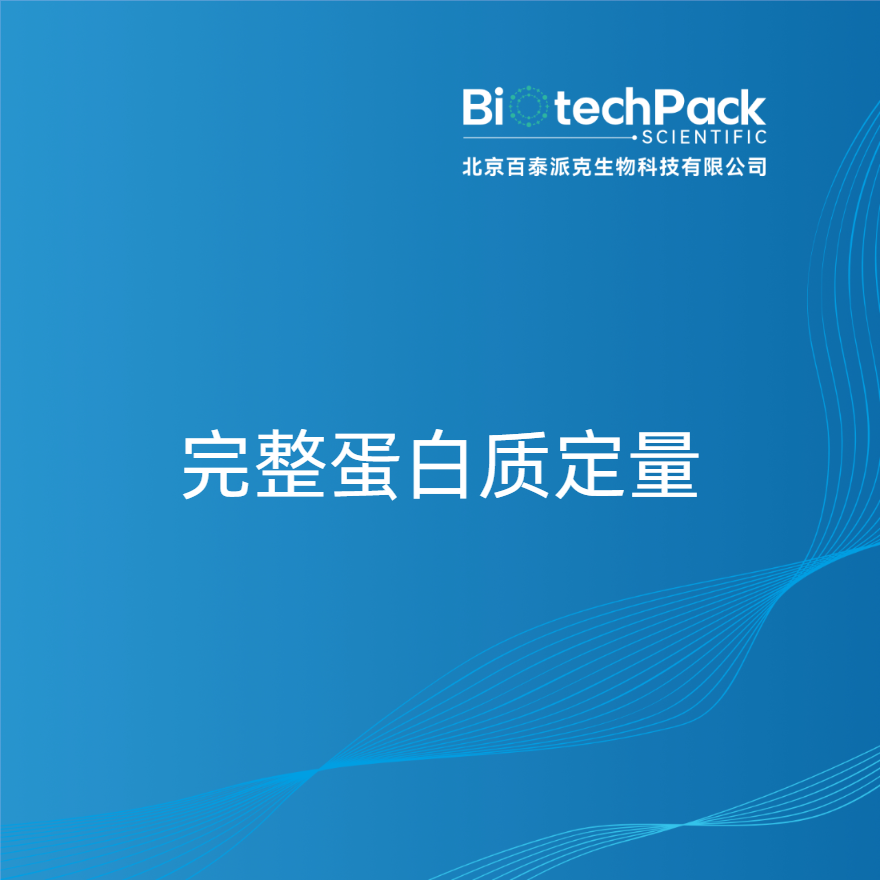 完整蛋白质定量