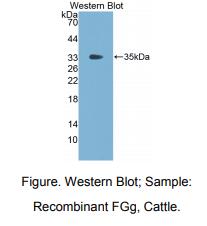 https://msimg.bioon.com/bionline/goods-no-pic.png