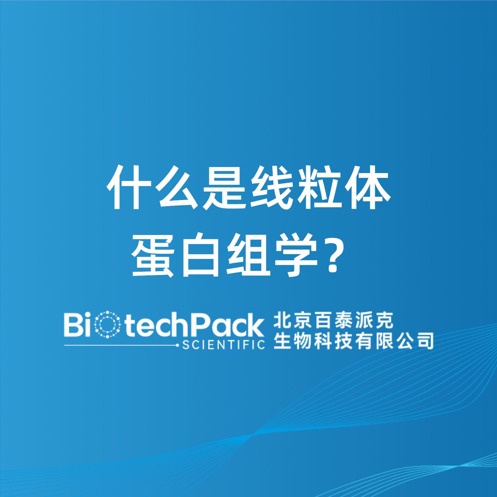 什么是線粒體蛋白組學？