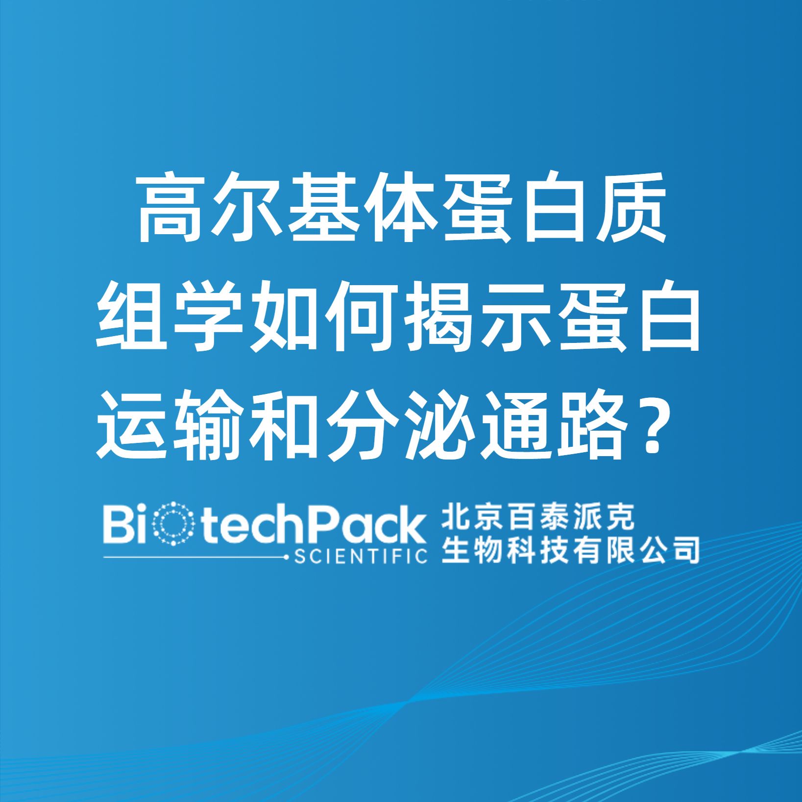 高爾基體蛋白質組學如何揭示蛋白運輸和分泌通路？