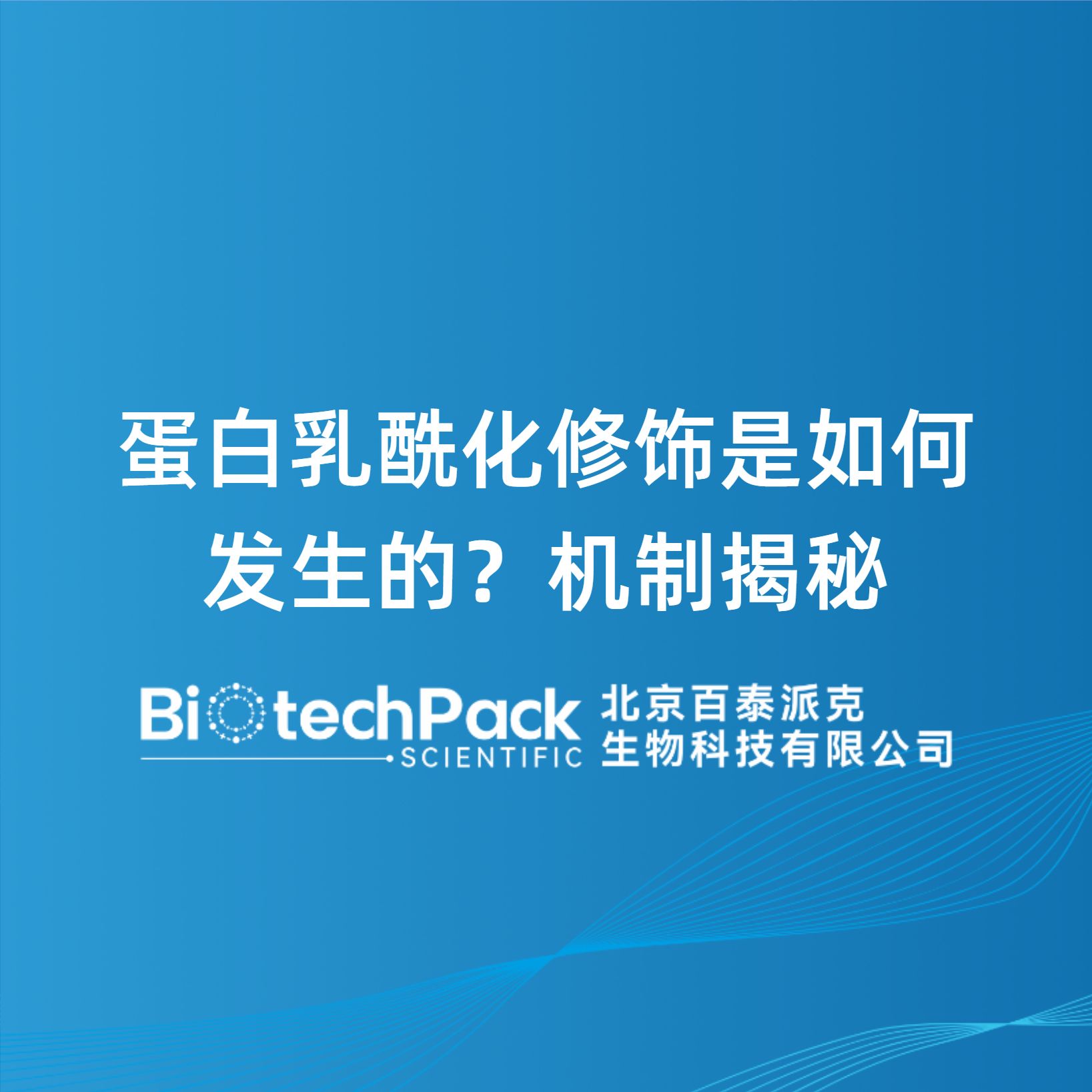 蛋白乳酰化修饰是如何发生的？机制揭秘