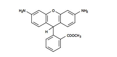 5-羧基荧光素*验证肽和寡核苷酸标记*