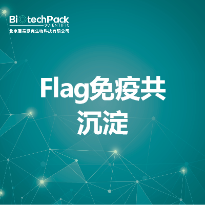 Flag免疫共沉淀