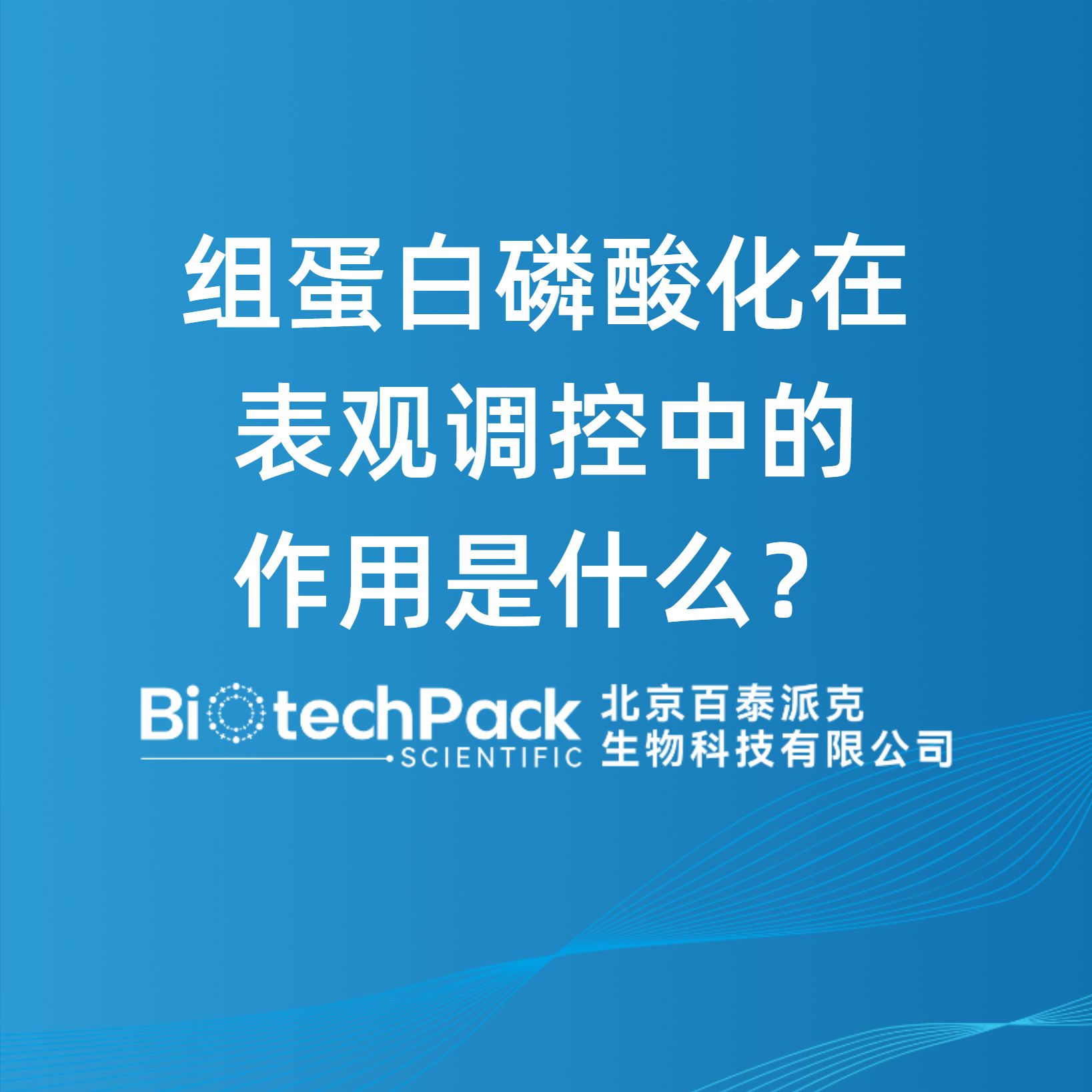 組蛋白磷酸化在表觀調控中的作用是什么？