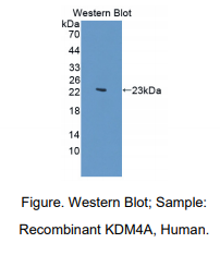 https://msimg.bioon.com/bionline/goods-no-pic.png