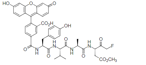 钙离子荧光探针Fluo-3,五铵盐 CAS 339221-91-9