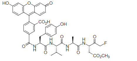 钙离子荧光探针Fluo-3FF,五钾盐