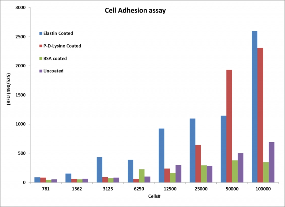 Cell Meter™细胞粘附测定试剂盒