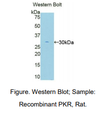 https://msimg.bioon.com/bionline/goods-no-pic.png