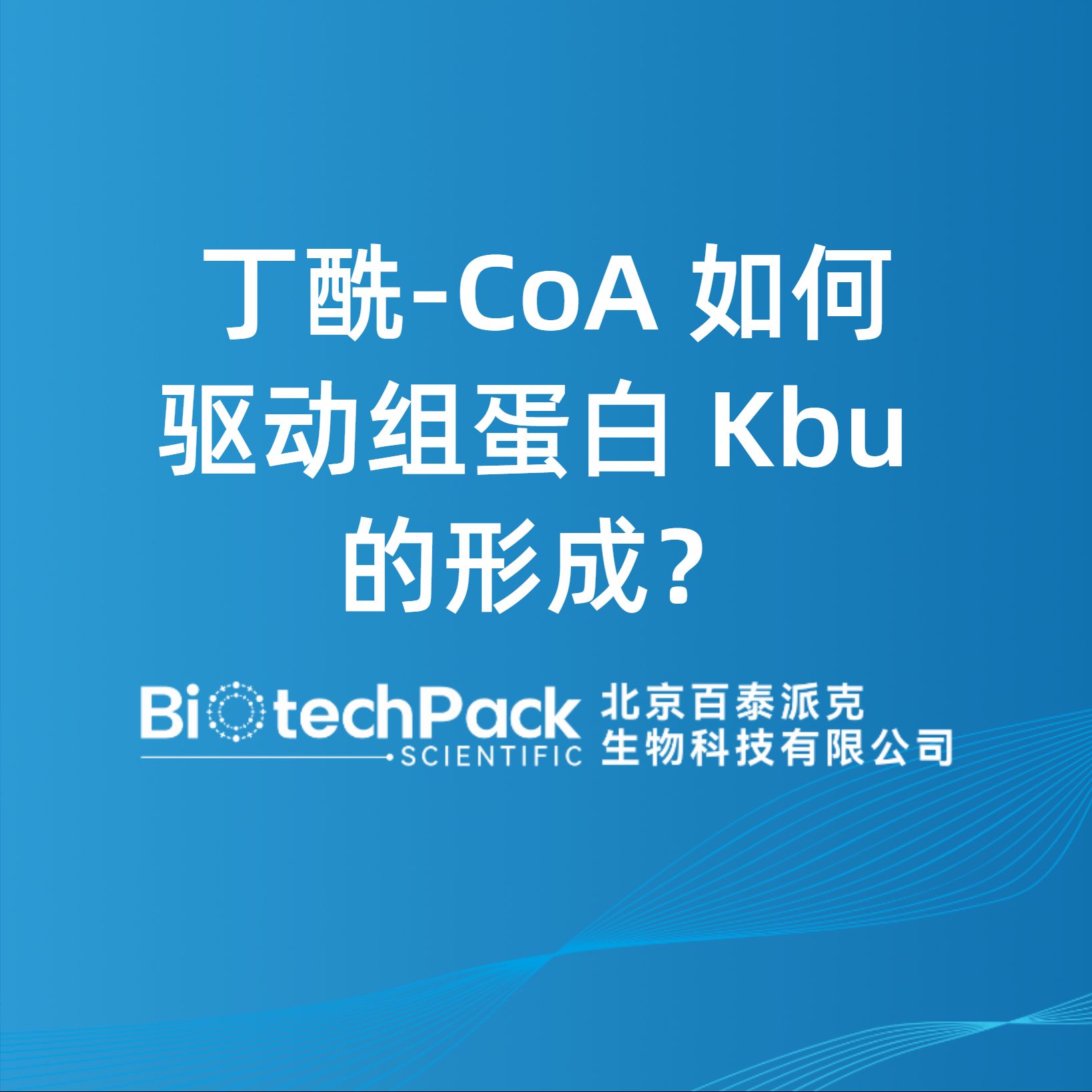 丁酰-CoA 如何驅動組蛋白 Kbu 的形成？
