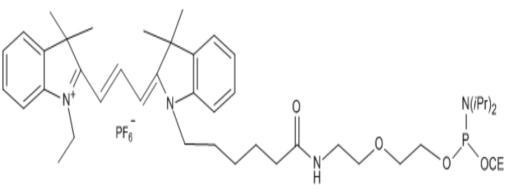 Quasar 570 Amidite (Cy3 Amidite)