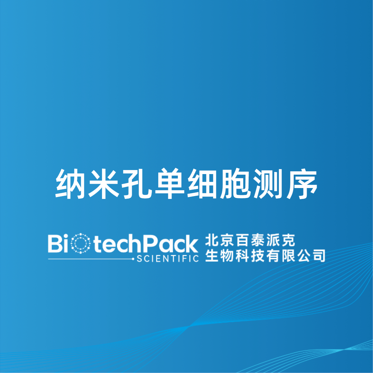 纳米孔单细胞测序