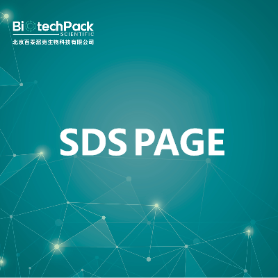 SDS PAGE
