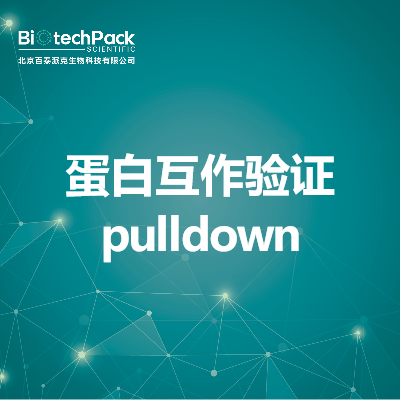 蛋白互作验证pulldown