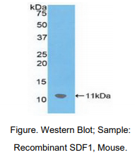 https://msimg.bioon.com/bionline/goods-no-pic.png