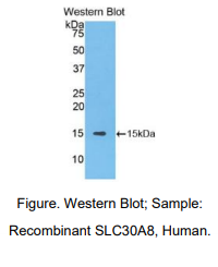 https://msimg.bioon.com/bionline/goods-no-pic.png