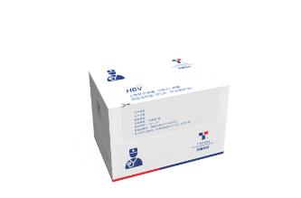 乙型肝炎病毒(HBV) 试剂性能 核酸测定试剂盒(PCR-荧光探针法