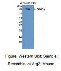 https://msimg.bioon.com/bionline/goods-no-pic.png