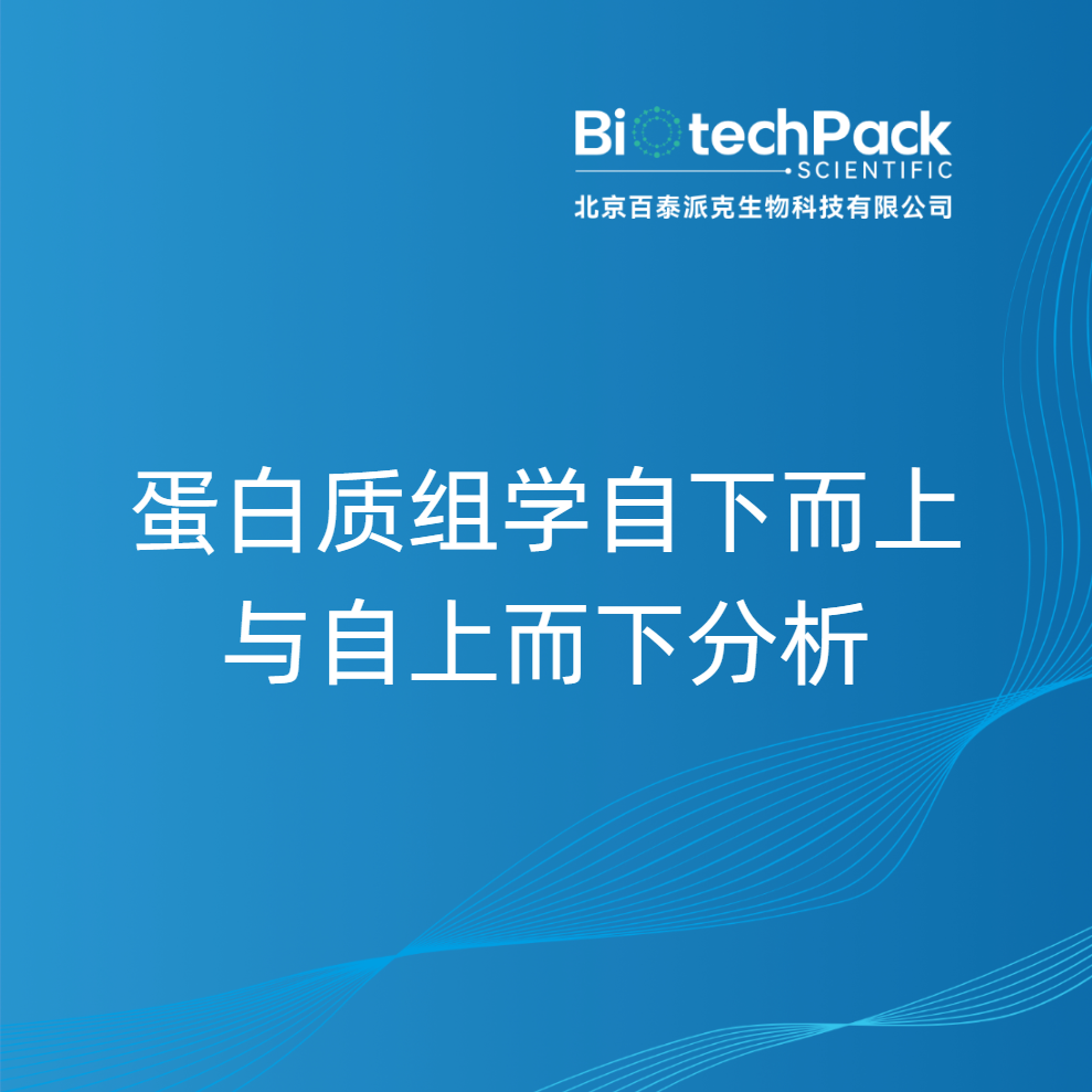 蛋白质组学自下而上与自上而下分析