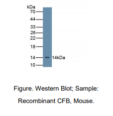 https://msimg.bioon.com/bionline/goods-no-pic.png