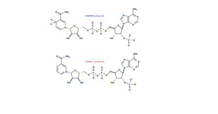 https://img.medsci.cn/e73eefcea40976357f460123cbf1e819c54e5106c9b457225be13b1cbc991aff.png