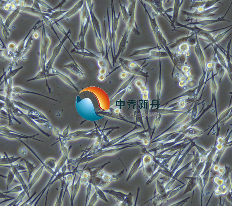 https://img.medsci.cn/8eee53bbc4cb7a98de615e72115896bc4e27fda5cbb764dbd67d9d641c2bb46a.png