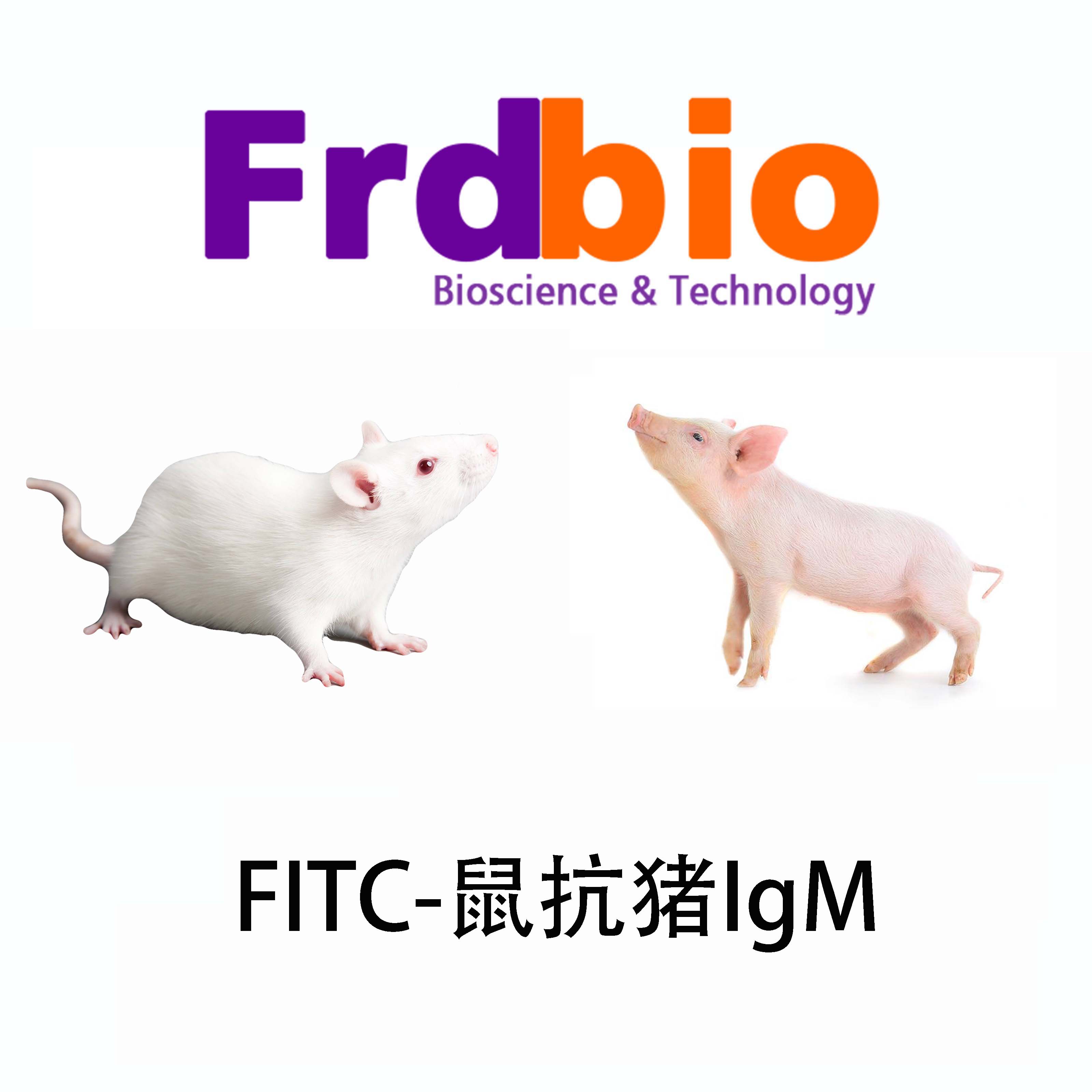 Mouse anti-swine(pig) IgM monoclonal Antibody(FITC conjugated)