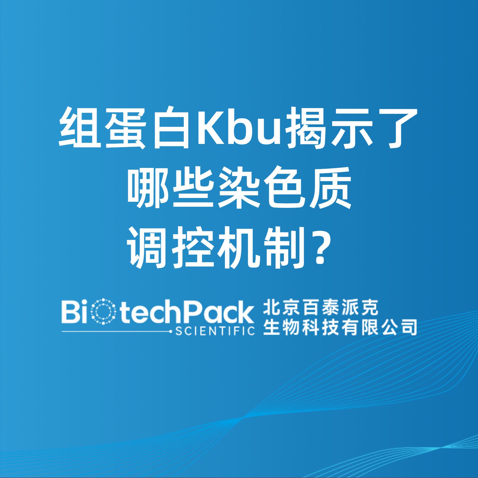 組蛋白Kbu揭示了哪些染色質調控機制？