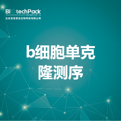 b细胞单克隆测序