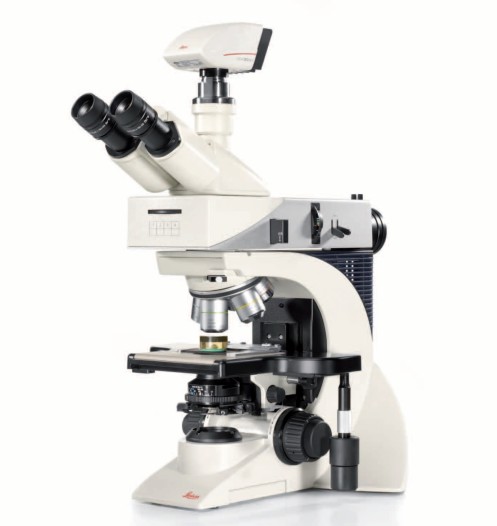 https://img.medsci.cn/ecfa0ae589c6942401cac82acb27a0e0f3e438877419b9552f7e5f80bea980e5.jpg