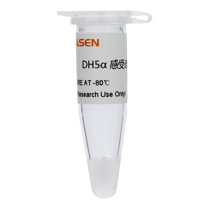 DH5α 化学感受态细胞