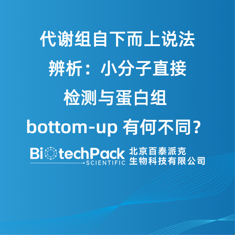 代谢组自下而上说法辨析：小分子直接检测与蛋白组 bottom‑up 有何不同？