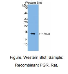 https://msimg.bioon.com/bionline/goods-no-pic.png