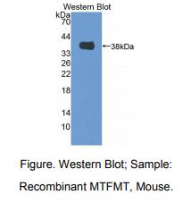 https://msimg.bioon.com/bionline/goods-no-pic.png