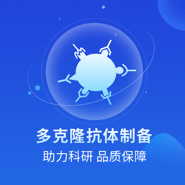 多克隆抗体制备服务（多肽/蛋白抗原）