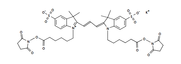 Cy3 叠氮化物