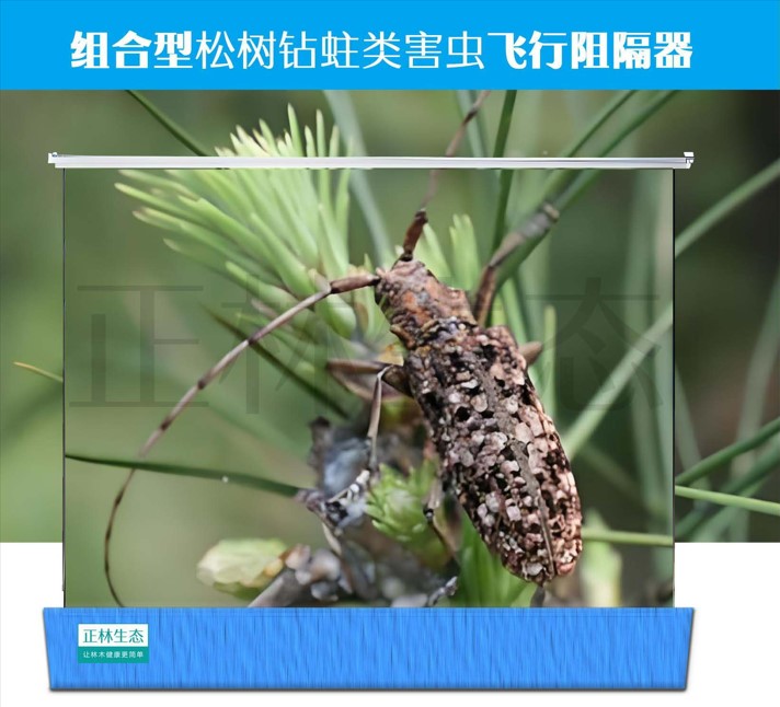 组合型松树钻蛀类害虫飞行阻隔器