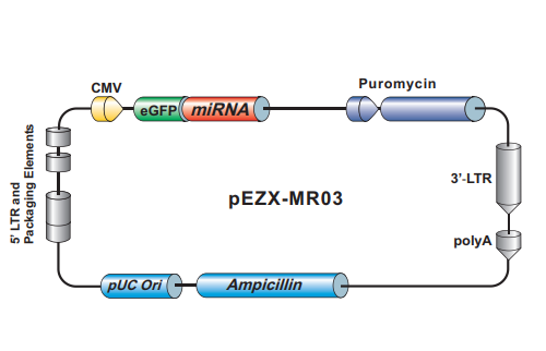 https://img.medsci.cn/09f7f9b396aaea8c5a2398de56f920980d508f8e7313325b130eae0a6c633bd4.png