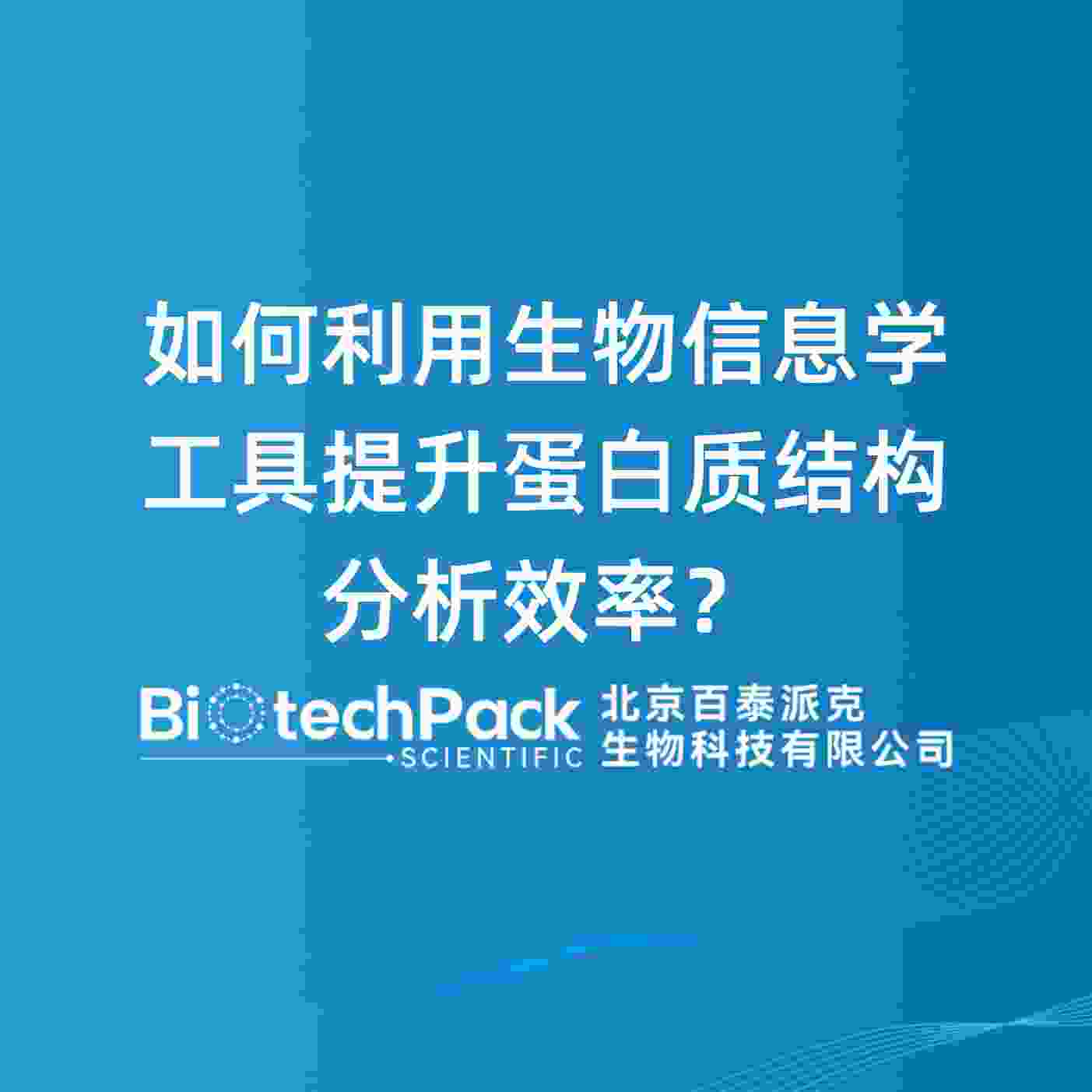 如何利用生物信息学工具提升蛋白质结构分析效率？
